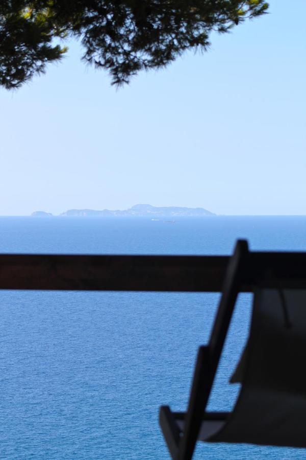 Claro De Lua Circeo B&B ซาน เฟลิเช เชร์ชีโอ ห้อง รูปภาพ