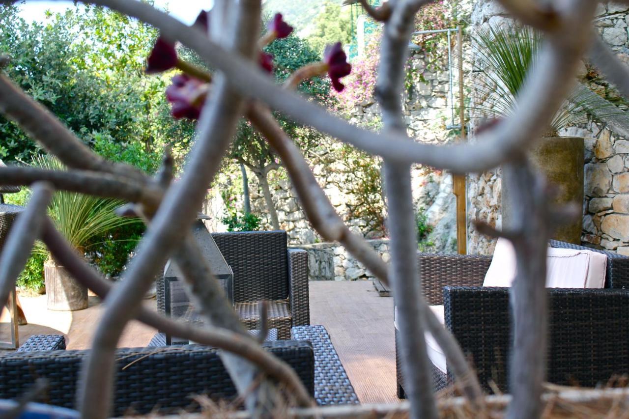 Claro De Lua Circeo B&B ซาน เฟลิเช เชร์ชีโอ ภายนอก รูปภาพ