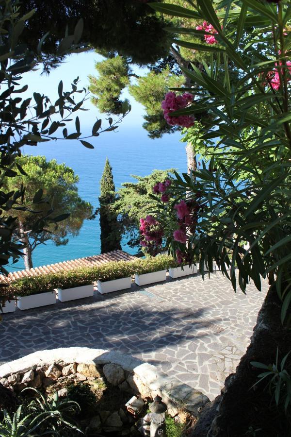 Claro De Lua Circeo B&B ซาน เฟลิเช เชร์ชีโอ ภายนอก รูปภาพ